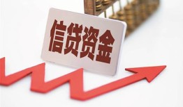 深圳13身份证贷款平台-深圳13贷款只要身份证贷款-深圳13空放贷款